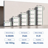 Système de batterie solaire murale 16 kWh JApower 51,2 V LiFePO4 pour stockage d'énergie domestique, compatible avec les panneaux solaires et les onduleurs hybrides