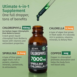 علامة خاصة OEM ODM-معزز الطاقة الطبيعية والدعم المناعي-مزيل العرق الداخلي وإزالة السموم ، قطرات سائل الكلوروفيل - Product Image 4