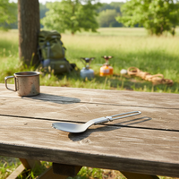 Fourchette et cuillère en titane pur, vaisselle pliante de camping, légère, respectueuse de l'environnement