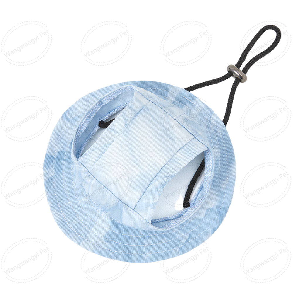 [Light Blue]