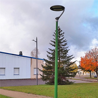 Lampadaires de rue à bras unique, lampadaires de jardin, lampadaires de rue extérieurs, lampes de cour, éclairage de rue intelligent à LED 30w-150w