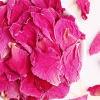 Kelopak Bunga Peony Kering Grosir Langsung dari Perkebunan untuk Teh Bunga, Lilin, dan Aromaterapi Rumah