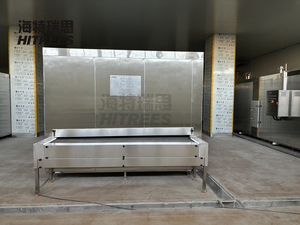 Macchina Industriale per Congelamento Rapido IQF a Tunnel per Frutti di Mare, Carne, Verdura, Frutta, Pasta, Attrezzatura per Congelamento Veloce - Product Image 4
