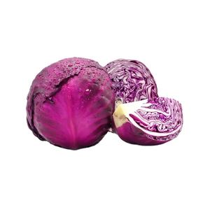 प्राकृतिक अर्क एंटोसाइनिडिन 25% पर्पल केल अर्क पाउडर लाल गोभी अर्क - Product Image 2