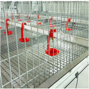Automatic Broiler Chicken Farming Equipment <strong>a</strong> <strong>Type</strong> Poultry Broiler <strong>Cage</strong> for Nigeria - Product Image 5
