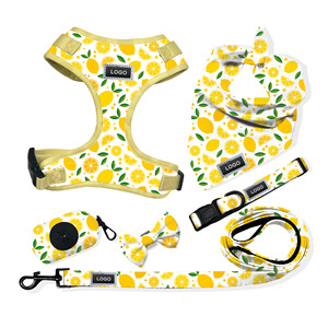6-in-1 Reversible Oxford Dog Harness Set Adjustable Vest Collar Leash <b>Bow</b> Tie Custom OEM Factory Supply for Cats Made Rope - Product Image 1