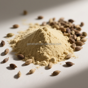 Fenugreek種子エキス粉末USDA有機食品グレード80% 全サポニンカスタム包装卸売価格ボトル缶オプション - Product Image 5