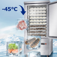Congelador de aire de congelación rápida comercial Guangzhou Frizer Flash Meat Other IQF para atún, equipo de congelación instantánea por ráfaga de aire