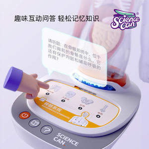 Modelo 3D de anatomía humana con preguntas y respuestas de voz para niños, juguete educativo, kit de aprendizaje con órganos desmontables - Product Image 5