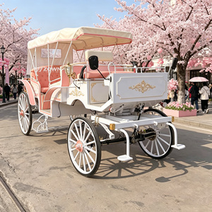 Carruaje Turístico Retro Estético con Decoración de Superficie Atractiva para Eventos Románticos en Zonas Turísticas - Product Image 1