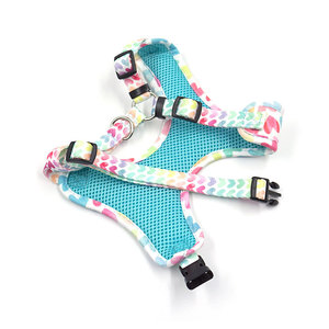 Ensemble laisse et harnais pour chien de luxe avec patch cœur décoratif, rembourré et réglable pour chiot, idéal pour les voyages et l'entraînement en extérieur - Product Image 2