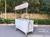Chariot de nourriture mobile pour café et en-cas, remorque de vente en plein air