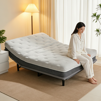 Lit électrique intelligent pliable moderne en fer, inclinable et réglable, avec soutien pour soulager la pression, idéal pour hôtels, villas, écoles, confort personnalisable