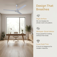Ventilateur de plafond décoratif au design ghanéen, 36 pouces, avec pales en plastique et moteur DC, emballage SKD, boîte couleur