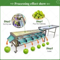 Machine de tri et de calibrage automatique pour fruits (pommes de terre, bleuets, olives, tomates cerises, pommes, oignons, avocats)