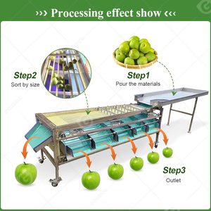 Machine de tri et de calibrage de taille pour tomates cerises aigres industrielles, à base de pesée, à vendre - Product Image 5