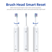 Ensemble de brosses à dents Vibrosonic avancées VS0260B : station d'accueil sans fil, 60 °   Balayage, technologie à double capteur |   Relish Factory