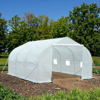 6x3x2m Kit de serre gothique moderne tout métal galvanisé cerceau maison pour jardin arrière-cour facilement assemblé pour culture hydroponique