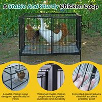 Cage à poulets en fer durable, design simple, plateau en plastique, aspect moderne, portes à accès facile, cadre thermolaqué, capacité de 25 lb, boîte
