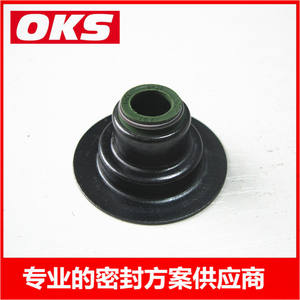 Sellos de Vástago de Válvula para Motor Perkins, Modelos 2418F517 y 2418F519, Categoría de Producto de Alto Rendimiento - Product Image 5