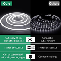 Prix de gros 5M 10M Bande lumineuse LED néon en silicone IP67 RGB Rgbic 24V Flexible et souple