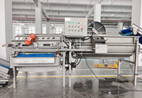Industriële appel-, groente- en fruitwasserinstallatie, fruitborstelwasapparatuur voor het reinigen van uien