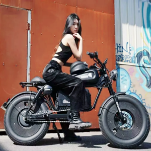 Vélo Électrique Hybride Gros Pneus 20 Pouces 48V 60Ah, Moteur 1500W, Cadre en Acier Type Moto Cross, Longue Autonomie, Batterie Lithium 60Ah, Alliage d'Aluminium - Product Image 4