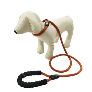 Logo personalizzato stampato in Nylon personalizzato mani libere corda rotonda addestramento del cane guinzaglio e collare leader