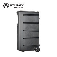 Enceinte active portable sans fil avec microphone Accuracy Pro Audio PMTT10D5-GO, caisson de basses DSP de 10 pouces, batterie rechargeable
