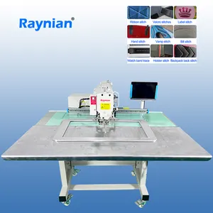 Raynian-5030f High Quality Programmable Pattern Sewing Machine Stainless Steel Servo Motor for Industrial Sewing Machine 260