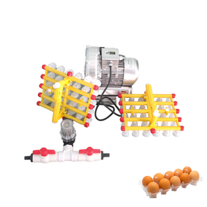 Automatic Fertile <b>Egg</b> Grading <b>Machine</b> <b>Egg</b> Cracking Line Vacuum Suction Vacuum Suction <b>Egg</b> <b>Machine</b> - Product Image 4