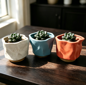 Pot à succulentes en céramique de forme irrégulière nordique, pot à fleurs créatif pour bureau, décoration de la maison, fournitures de jardinage - Product Image 1