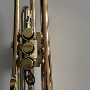 <span class=keywords><strong>Trompeta</strong></span> de Cobre y Latón de 140 cm, Tamaño de <span class=keywords><strong>Campana</strong></span> Grande, Estándar de Exportación de Alto Nivel para Músicos Profesionales - Product Image 6