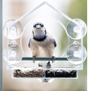 Mangeoire à oiseaux en acrylique, maison à oiseaux en plastique écologique, transparente, plateau à nourriture amovible, trous de drainage, installation facile, facile à nettoyer - Product Image 4