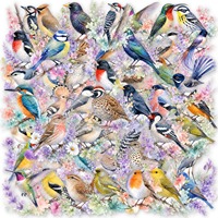 50 autocollants PET en aquarelle d'oiseaux de la forêt, motifs floraux colorés lavande, décoratifs et imperméables pour cahiers, gobelets et cadeaux