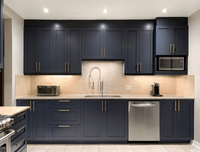 Panneau de porte d'armoire de cuisine modulaire en acier inoxydable, crédence d'évier, contre-placage écologique, design moderne, garantie 15 ans - Personnalisable