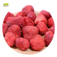 HACCP BRC OEM Fabriek Fabrikant Huisdierenvoer Vriesgedroogd Bevroren FD Fruit Aardbei