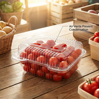 Boîte à fruits et légumes en plastique PET transparent avec couvercle ventilé, écologique, 175 mm, trous de ventilation respirants, pour produits frais, salades