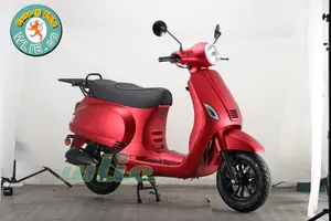 Hot selling 50cc sell motorcycle gy6 scooter parts gasoline trike Maple 50, 125 with Euro 5 EEC COC