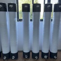 Membrane d'ultrafiltration à fibres creuses en PVDF 2m³/h 48m³/jour pour la préparation d'eau pure, membrane UF pour le prétraitement des membranes RO