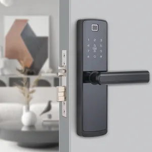 Code Locks Fingerprint Password Single Lock For Wooden Door Intelligent Electronic Lock