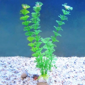 Bán buôn tùy chỉnh nhựa PVC mô phỏng 30cm Cỏ thủy sản cây nhân tạo cây xanh Phụ kiện bể cá trang trí - Product Image 2
