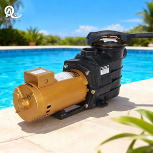 Pompe à eau de piscine haute efficacité Water Crown SP 220V/380V auto-amorçante avec panier filtrant - Product Image 3