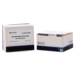 Foretene-Suministro de fábrica RT-PCR, un paso, para uso de investigación, RUO <span class=keywords><strong>2x</strong></span> <span class=keywords><strong>master</strong></span> <span class=keywords><strong>mix</strong></span> power sybr green <span class=keywords><strong>master</strong></span> <span class=keywords><strong>mix</strong></span> - Product Image 1