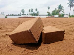 Eco Friendly Coco Peat for <b>Seed</b> Starting Gardening and <b>Hydroponic</b> Plant Care Available At Reasonable Price - Product Image 3