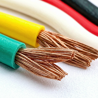 Kabel Mobil FLRY-B 0.75mm2 18AWG Bersertifikasi ISO 19642 GB/T 25085 IATF 16949, PVC Dinding Tipis, Tegangan Rendah