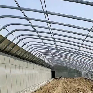 Serre tunnel monocouche économique en film PE pour l'agriculture solaire, idéale pour la culture des tomates et des concombres, marque Bafangle, Wuxi, Chine - Product Image 1