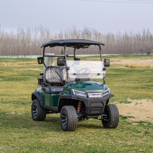 Productos Más Vendidos, Carrito de Golf Personalizable con Múltiples Configuraciones de Velocidad y Potencia para Satisfacer Diferentes Demandas - Product Image 1
