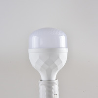Ampoule LED Économique d'Énergie Personnalisée Super Lumineuse Haute Efficacité Lumineuse Culot E27 Jardin Faible Consommation