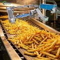 Shepody 100kg/u 200kg/u 300kg/u 500kg/u 1000kg/u Automatische productielijn voor verse aardappelchips en diepvriesfrieten